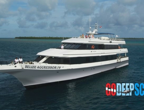 Belize Liveaboard June 21-28-2025